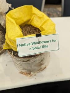 Bag of wildflower seeds for solar farms